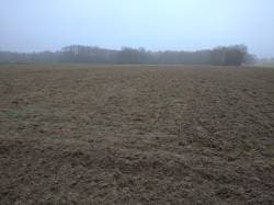 Nieruchomość gruntowa nr 388 o pow. 3,3103 ha, położona w Krasówce, pow. włodawski