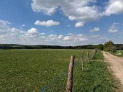 działki ewidencyjne nr 578, 340, 514, 350 oraz 50/2