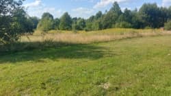 działka pow. 0,3368 ha
