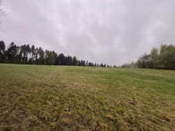 Sołonka, gm. Lubenia - 3,03 ha - [numer KW w planie Pro]