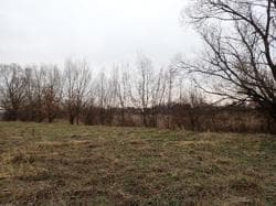 działka ew. nr 2578