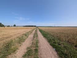 nieruchomość