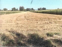 Działka ewidencyjna nr 482 o pow. 0,7800 ha, położona w miejscowości Putnowice Wielkie gm. Wojsławice
