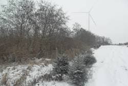 Działka nr 358/3 - lasy, o pow. łącznej 8,9246 ha, położonej wmiejscowości: Żeńsko, KW Nr [numer KW w planie Pro].