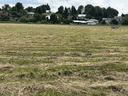 Udział 1/4 w działce nr 4538 położonej w miejscowości Stara Wieś
