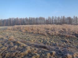 udział w wysokości 1/2 w nieruchomości gruntowej