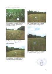 Działka ewidencyjna nr 573 o powierzchni 0,2000 HA położona Karolinów gmina Krasocin
