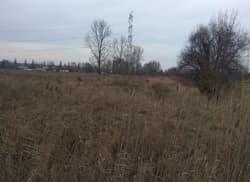 prawo własności niezabudowanej działki nr 30/12 o pow. 24.154 m2
