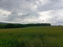 działka nr ewid. 3839