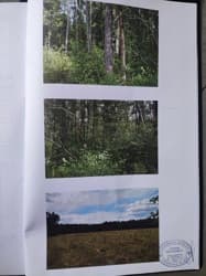 Udział 1/2 w nieruchomości o nr KW [numer KW w planie Pro]