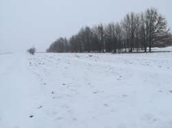 Działki niezabudowane nr 6882/1 i 6963,Miasto Garwolin, 0,5531 ha