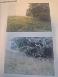 Nieruch. gr. - dział ew. nr 215 o pow. 0,33 HA