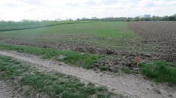 Działka nr 1888 obręb Wiązownica