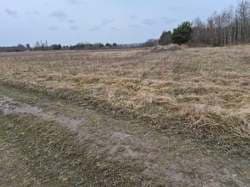 Nieruchomość składająca się z działki ewid. nr 1392 o pow. 1,4270 ha poł. Grzybów, gm. Staszów.