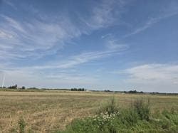 Niezabudowana dz. nr 88 o pow. 5,0300 ha położona w Łobdowie, gm. Dębowa Łąka