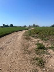Nieruchomość gruntowa niezabudowana o nr ewid. 297 o pow. 1,2933 ha położona w miejscowości Skalbmierz , 28-530 Skalbmierz