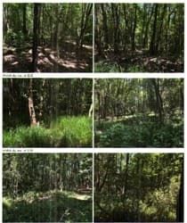 Działka ew. nr 818 obj KW nr [numer KW w planie Pro], obręb Mokrzyska-Bucze