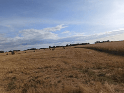 Nieruchomość gruntowa niezabudowana rolna, o powierzchni 0,42 ha, położonej: 72-320 Trzebiatów, Trzebusz, objęta KW nr [numer KW w planie Pro]