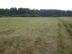 działka rolna nr 115 o pow. 1,53 ha msc. Niedabyl gm. Stromiec pow. białobrzeski woj. mazowieckie więcej na www.komornik-grojec.pl
