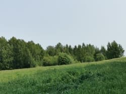 Działka rolna niezabudowana o pow. 0,3932 ha, Nowa Pawłówka, gm. Przerośl