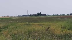 Chełmiczki, nieruchomość rolna pow. 2,5ha