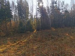 działka nr 193/3, niezabudowana - niewydzielony udział 1/3