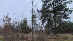Działka rolna nr 661/4 - Janów gm. Tczów