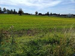 Nieruchomość gruntowa niezabudowana Czekanów powierzchnia 2,5918 ha. Udział 1/2