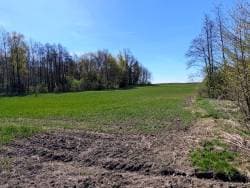 nieruchomość gruntowa niezabudowana o powierzchni 1,6075 ha, położona w Wólce Lichtajńskiej, gmina Ostróda