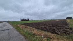 Nieruchomość gruntowa rolna niezabudowana o pow. 2,4700 ha położona w Wierzbicy, gmina Wierzbica