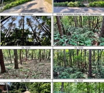 Syndyk sprzeda – działkę o nr ewidencyjnym 5233 z obrębu 1 Siemiatycze — miniatura 2
