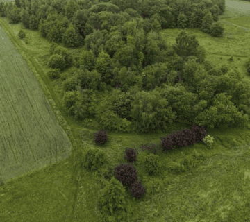 Syndyk sprzeda nieruchomości w Miękini — miniatura 2