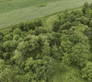 Syndyk sprzeda nieruchomości w Miękini — miniatura 3