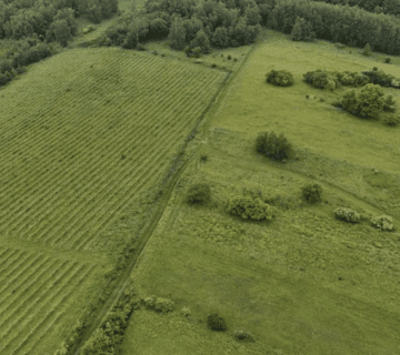 Syndyk sprzeda nieruchomości w Miękini — miniatura 4