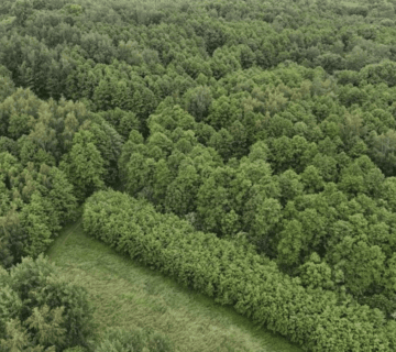 Syndyk sprzeda nieruchomości w Miękini — miniatura 5