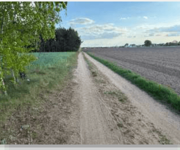 Syndyk sprzeda nieruchomość gruntową leśną (działka nr 252)