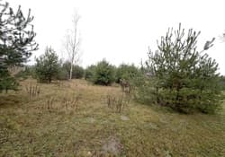 nieruchomość niezabudowana położona w gminie Inowłódz, obręb 9 Żądłowice, składająca się z działek nr 8 oraz 367