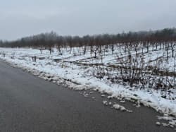 Nieruchomość gruntowa składająca się z działki o numerze 2958 z KW [numer KW w planie Pro]