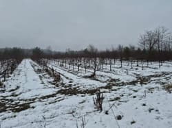 Nieruchomość gruntowa działka nr 2562 z KW [numer KW w planie Pro].