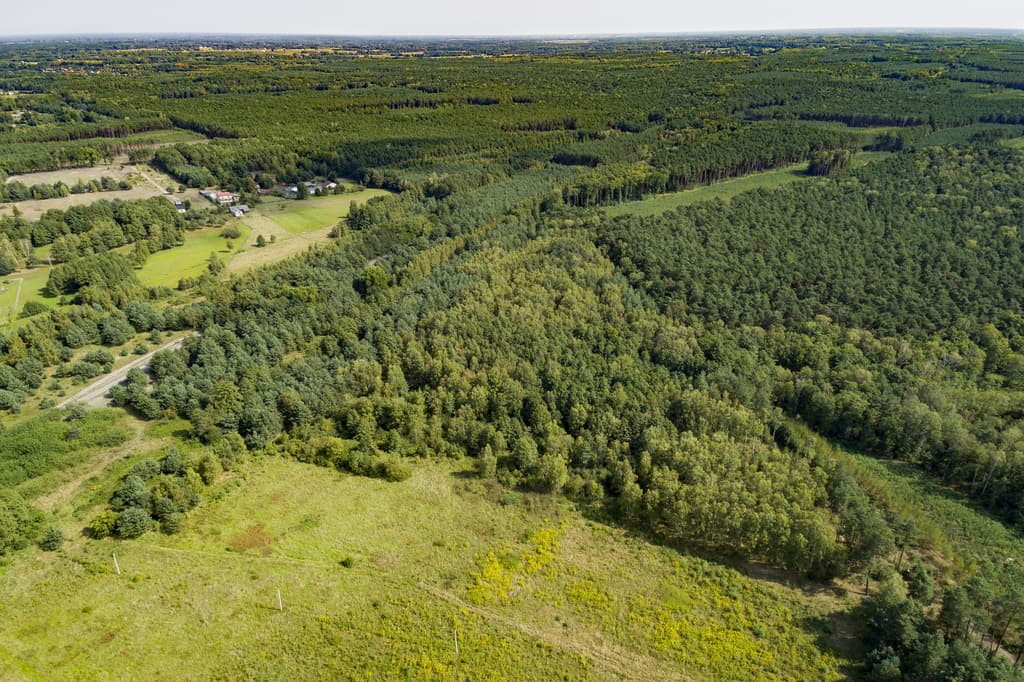 Franciszków