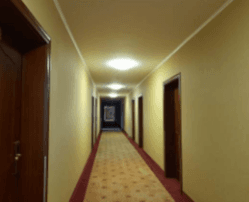 Nieruchomość gruntowa, zabudowana, położona: 96-513 Nowa Sucha, Stary Dębsk 4 (hotel i magazyny + zajazd DUKAT) dla której Sąd Rejonowy w Sochaczewie V Wydział Ksiąg Wieczystych prowadzi dwie księgi…