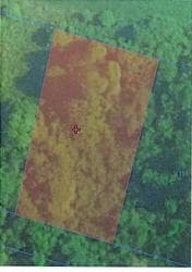 udział w wysokości 1/2 - dz. nr 412 o pow. 1100m2, Chojnowo gm. Szczuczyn