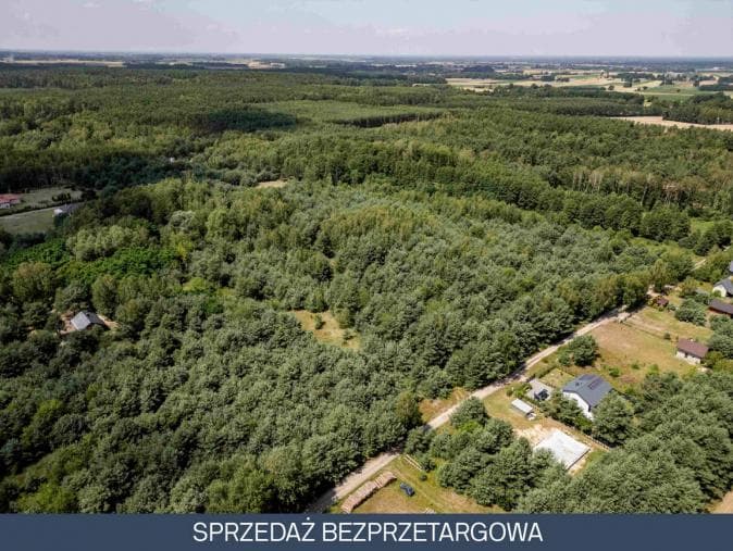 DZIAŁKI W MIEJSCOWOŚCI PELAGIA, GMINA WODZIERADY, WOJ. ŁÓDZKIE