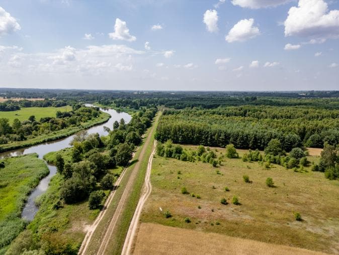 Pstrokonie