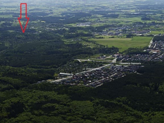 Śliska
