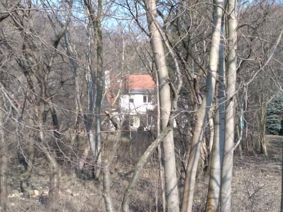 Spacerowa ( A ) — miniatura 5