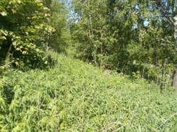 Nieruchomosc niezabudowana obj. [numer KW w planie Pro] oznaczonej jako dz nr 2117/4 o pow. 10720 m2