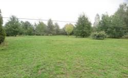 nieruchomość gruntowa niezabudowana o pow. 0,5009 HA