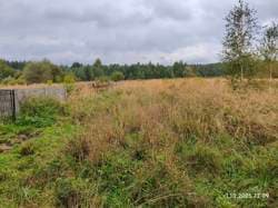 1/2 udziału w prawie własności nieruchomości gruntowej o pow. 0,4457 HA, działki nr 2597/1, 2597/3 - licytacja przeprowadzana w celu zniesienia współwłasności
