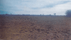 nieruchomość składająca się z działki nr 969 położona w msc. Łózki gm. Drelów o powierzchni: 3,3126 ha dla której Sąd Rejonowy w Radzyniu Podlaskim IV Wydział Ksiąg Wieczystych prowadzi księgę…